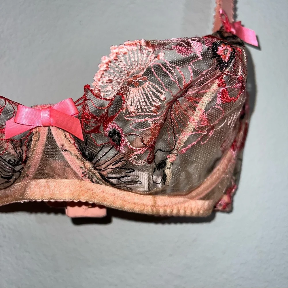Agent Provocateur Pink Zuri Underwired Bra Size 36DD Italian Tulle Sheer Embroid